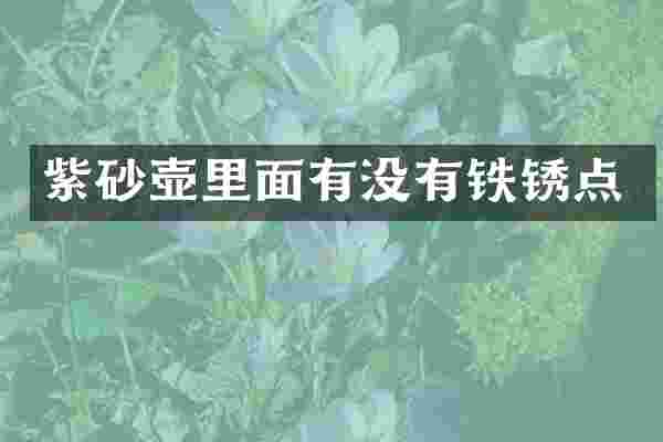 紫砂壶里面有没有铁锈点