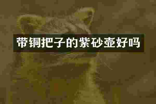 带铜把子的紫砂壶好吗