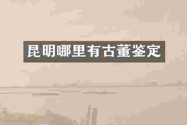 昆明哪里有古董鉴定