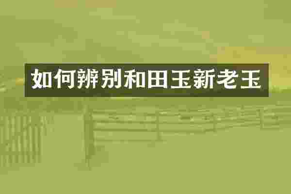 如何辨别和田玉新老玉