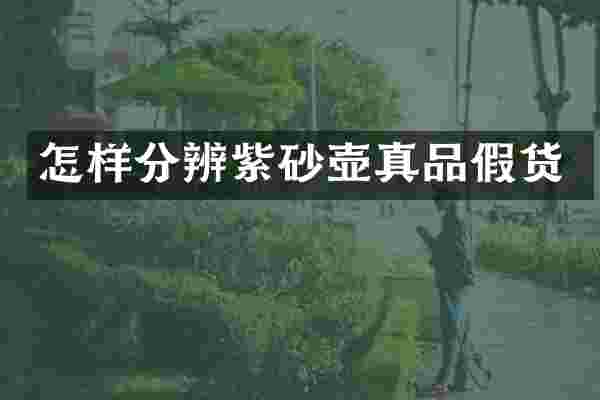 怎样分辨紫砂壶真品假货