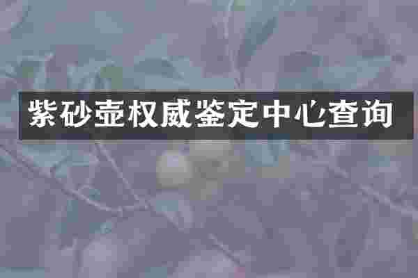 紫砂壶权威鉴定中心查询