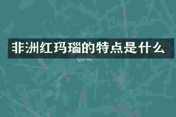 非洲红玛瑙的特点是什么