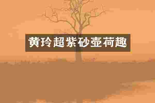 黄玲超紫砂壶荷趣