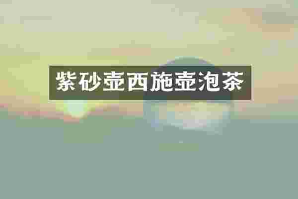 紫砂壶西施壶泡茶
