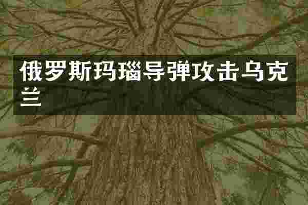 俄罗斯玛瑙导弹攻击乌克兰