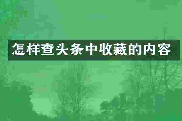 怎样查头条中收藏的内容