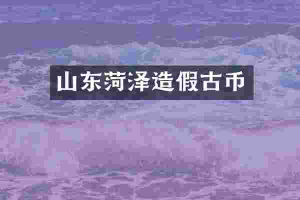 山东菏泽造假古币