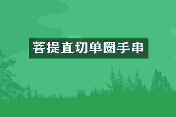 菩提直切单圈手串