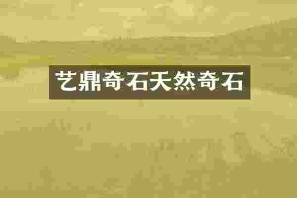 艺鼎奇石天然奇石