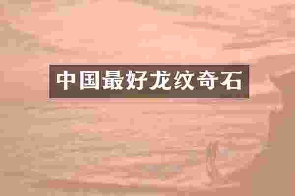 中国最好龙纹奇石