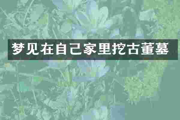 梦见在自己家里挖古董墓