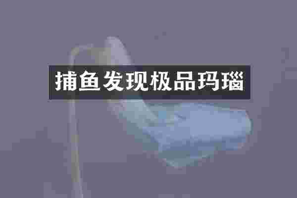 捕鱼发现玛瑙