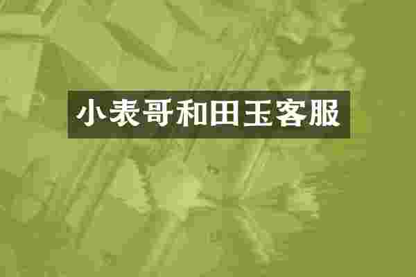 小表哥和田玉客服