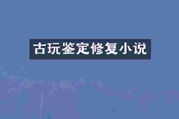 古玩鉴定修复小说