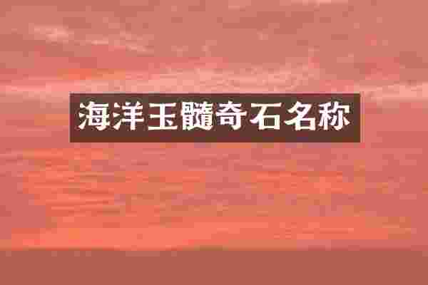海洋玉髓奇石名称