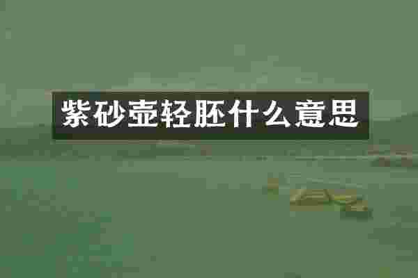 紫砂壶轻胚什么意思