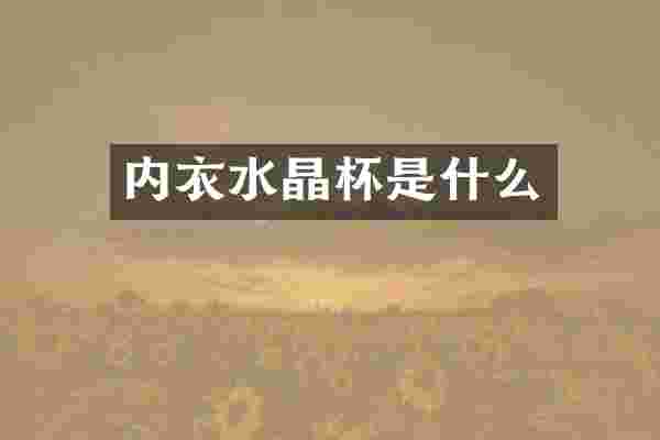 内衣水晶杯是什么