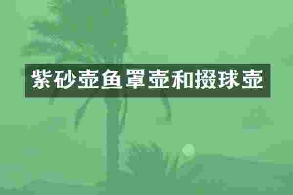 紫砂壶鱼罩壶和掇球壶