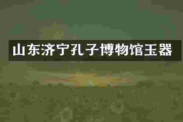 山东济宁孔子博物馆玉器