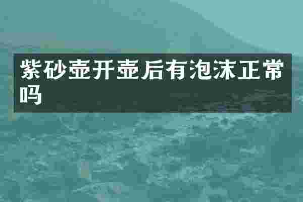 紫砂壶开壶后有泡沫正常吗