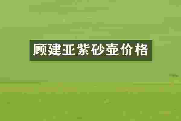 顾建亚紫砂壶价格