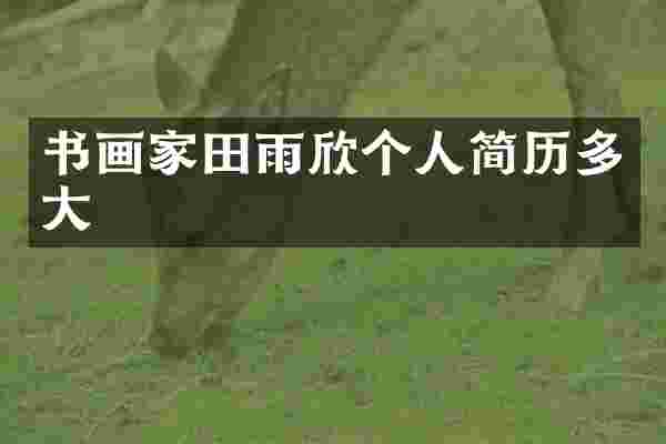 书画家田雨欣个人简历多大