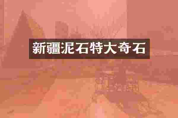 新疆泥石特大奇石