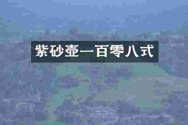 紫砂壶一百零八式