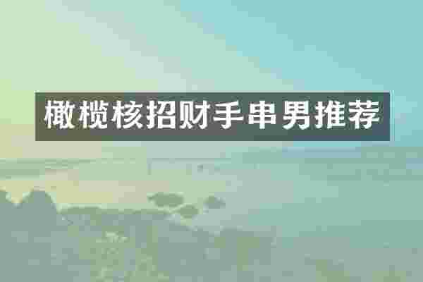 橄榄核招财手串男推荐