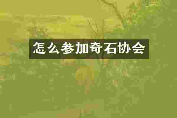怎么参加奇石协会