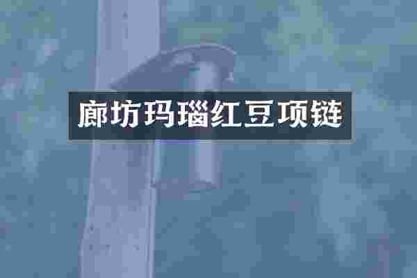 廊坊玛瑙红豆项链