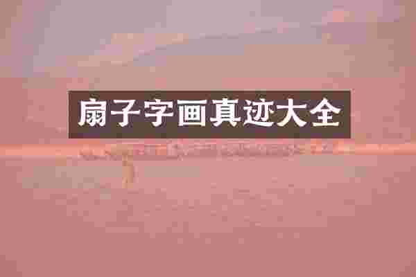 扇子字画真迹大全