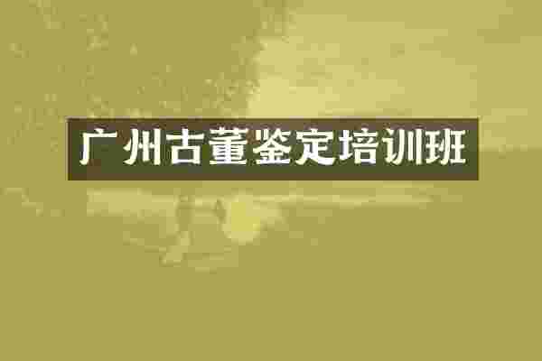 广州古董鉴定培训班