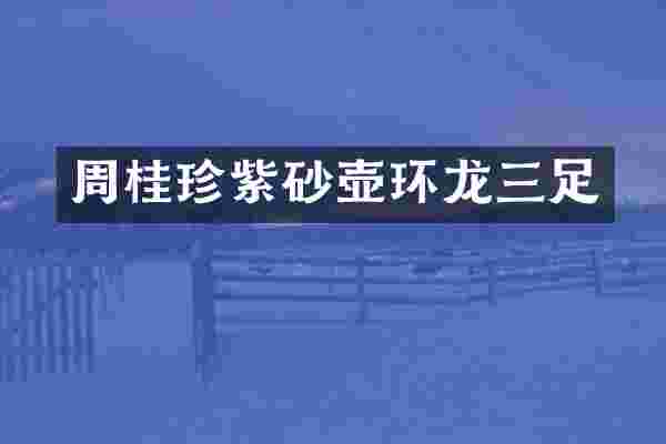 周桂珍紫砂壶环龙三足