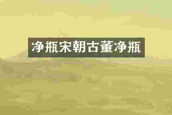 净瓶宋朝古董净瓶