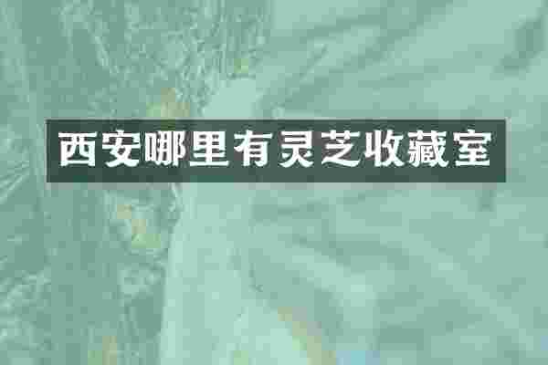 西安哪里有灵芝收藏室