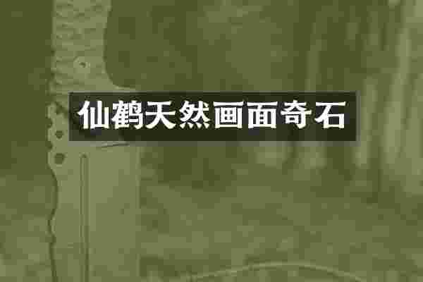 仙鹤天然画面奇石