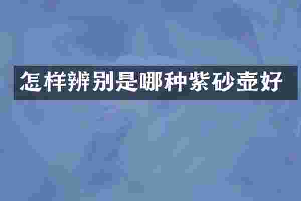 怎样辨别是哪种紫砂壶好