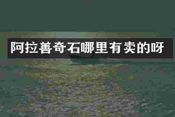 阿拉善奇石哪里有卖的呀