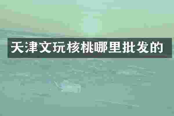 天津文玩核桃哪里批发的