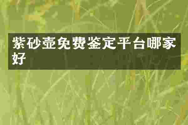 紫砂壶免费鉴定平台哪家好