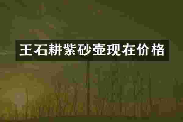 王石耕紫砂壶现在价格