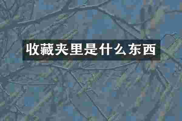 收藏夹里是什么东西