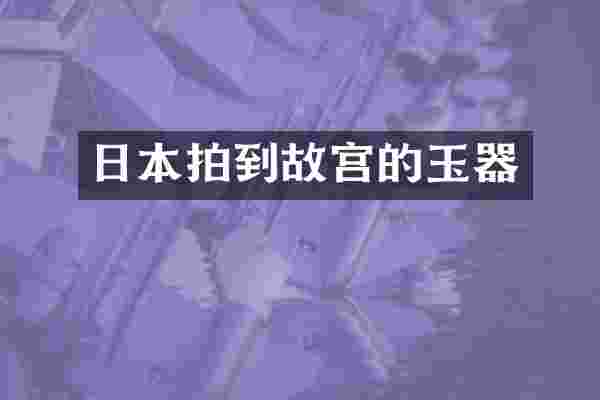 日本拍到故宫的玉器