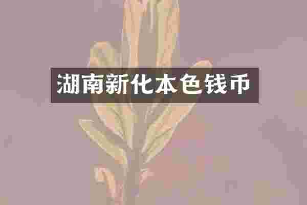 湖南新化本色钱币