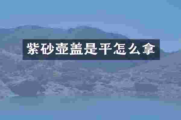 紫砂壶盖是平怎么拿