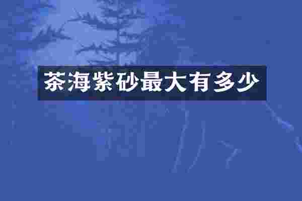 茶海紫砂最大有多少