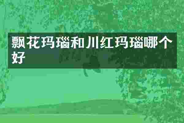 飘花玛瑙和川红玛瑙哪个好