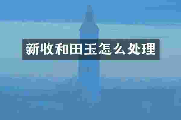 新收和田玉怎么处理